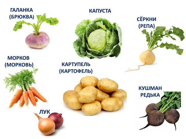 овощи.png